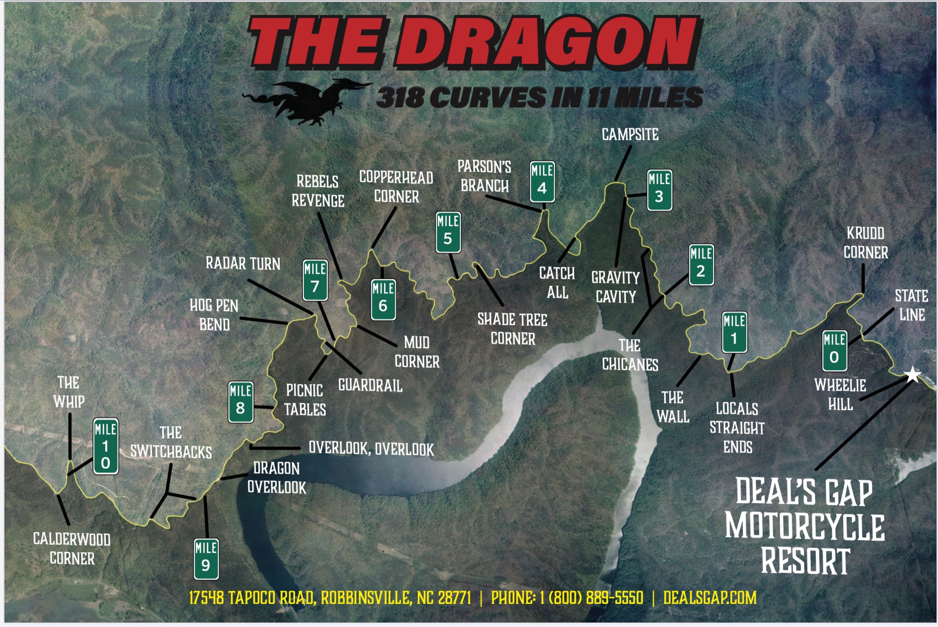 Dragon Poster - aerial view